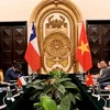 Minister of Foreign Affairs Bui Thanh Son holds talks in Hanoi on August 25 with his Chilean counterpart Alberto Van Klaveren. (Photo: VNA)