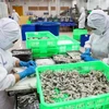 Workers process shrimp for export at Duyen Hai Economic Development Company in Ho Chi Minh City. (Photo: VNA)