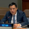 Permanent Representative of Vietnam to the United Nations (UN) Ambassador Dang Hoang Giang speaks at the First Committee's debate on nuclear weapond. (Photo: VNA)