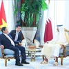 Vietnamese Prime Minister Pham Minh Chinh (L) meets with Emir of Qatar Sheikh Tamim Bin Hamad Al Thani in Doha on October 31. (Photo: VNA)