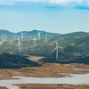 A wind farm in the northern province of Binh Thuan. (Photo: VNA) 