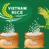Rice exports up 32% in H1