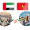 Vietnam–United Arab Emirates cooperation and friendship