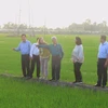 WB delegation visits low-emission rice production model