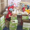 Vietnam records 24.3 billion USD trade surplus in 11 months