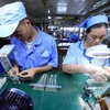 Enterprises invest in technology to increase export value. (Photo: VietnamPlus)