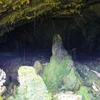 The Con Moong Cave is first excavated by Vietnamese archaeologists in 1976. (Photo: VNA)