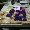 Nghe An busts drug trafficking ring from Laos to Vietnam (Photo: VNA)