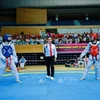 Hong Bang open int'l Taekwondo championship kicks off in Da Nang (Photo: VNA)