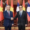 President To Lam (L) shakes hands with Lao Prime Minister Sonexay Siphandone (Photo: VNA)