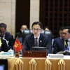 Deputy Foreign Minister Do Hung Viet (C) (Photo: the Ministry of Foreign Affairs)