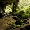 The Niah Caves complex in Sarawak has officially been listed as a Unesco World Heritage Site. (Photo: https://www.thestar.com.my/)