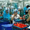 Workers at an electronic factory in the southern province of Dong Nai (Photo: VNA)