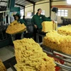 A rubber processing plant in the Central Highlands province of Gia Lai. (Photo: VNA)