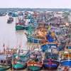 Fishing boats anchor in the Ca Mau fishery port in the southernmost province of Ca Mau (Photo: VNA)