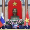 越南国家主席苏林与俄罗斯总统普京共同会见记者。图自越通社