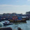 Ba Ria-Vung Tau intensifica esfuerzos para combatir pesca ilegal (Fuente: VNA)