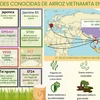 Variedades conocidas de arroz vietnamita en el mundo