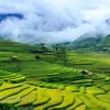 Mu Cang Chai entre los 25 destinos con "belleza surrealista” 