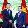 El primer ministro de Vietnam, Pham Minh Chinh, recibe a Liu Ning, miembro del Comité Central del Partido Comunista de China (PCCh) y secretario del Comité del PCCh de la Región Autónoma Zhuang de Guangxi de China. (Fuente: VNA)