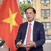 El viceprimer ministro y ministro de Relaciones Exteriores Bui Thanh Son. (Fuente: VNA)