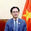 El viceministro de Relaciones Exteriores de la nación indochina Do Hung Viet. (Fuente: VNA)