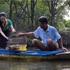 Una turista experimenta un tour en la provincia de Ca Mau. (Fuente: VNA)