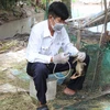后江省未水县兽医站防疫人员为家禽打疫苗。图自越通社