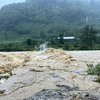 平定省多地遭洪涝灾害。图自越通社