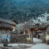 Au Vietnam, de nombreux lieux, après avoir été le lieu de tournage d’œuvres cinématographiques à succès, ont attiré un grand nombre de touristes. Par exemple la « Maison de Pao », dans la commune de Sung La, district de Dong Van, province de Ha Giang, après le succès du film « L'histoire de Pao ».