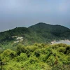 L'île de Hon Khoai est située dans la commune de Tan An, district de Ngoc Hien, province de Ca Mau. Photo: VNA