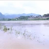 Montée du niveau d'eau de la rivière Lo traversant la ville de Tuyen Quang. Photo: VNA