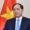 Le vice-Premier ministre et ministre des Affaires étrangères, Bui Thanh Son. 