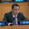 Au nom de l'ASEAN, l'ambassadeur Dang Hoang Giang, chef de la Mission permanente du Vietnam auprès de l'ONU, prononce un discours lors du débat. Photo: VNA