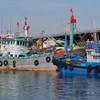 New decrees contribute to perfecting anti-IUU fishing regulations