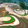 Spectacular water pouring season in Mu Cang Chai