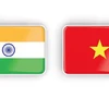 Vietnam-India comprehensive strategic partnership