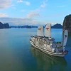 Ha Long Bay - Cat Ba Archipelago recognised as World Geological Heritage