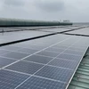 Rooftop solar power industrial parks to meet green energy demand