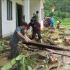 Weekly highlights: Super typhoon Yagi hits northern Vietnam, recovery efforts underway