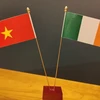 Strengthening Vietnam-Ireland relations