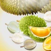 Why durian became Vietnam's "king of exported fruits"