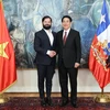 Vietnam, Chile look to advance bilateral ties