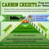 "Unlocking" carbon credit market for Vietnam