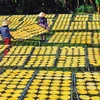 陈文时县陈亥乡干香蕉手工艺村新貌。图自《越南画报》