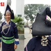 文山傣族同胞服饰。图自《越南之声》