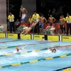 各国运动员在4x200m自由泳赛项上开展角逐。图自越通社