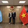 越南常驻联合国代表团团长邓黄江大使会见联合国缅甸问题特使毕晓普。图自越通社