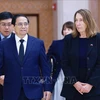 越南政府总理范明政会见澳大利亚参议院议长苏·莱恩斯。图自越通社