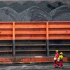 Indonesia unlikely to meet 2024 coal output target (Photo: Reuters) 